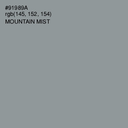 #91989A - Mountain Mist Color Image